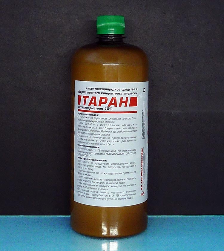 Таран